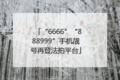 “6666”“888999”手机靓号再登法拍平台