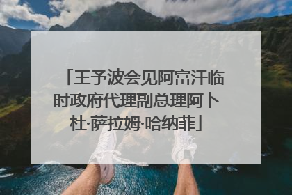 王予波会见阿富汗临时政府代理副总理阿卜杜·萨拉姆·哈纳菲