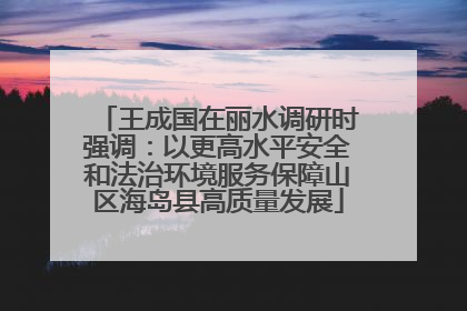 王成国在丽水调研时强调：以更高水平安全和法治环境服务保障山区海岛县高质量发展