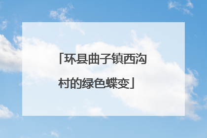 环县曲子镇西沟村的绿色蝶变