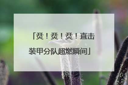烎！烎！烎！直击装甲分队超燃瞬间