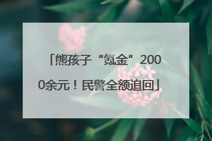 熊孩子“氪金”2000余元！民警全额追回