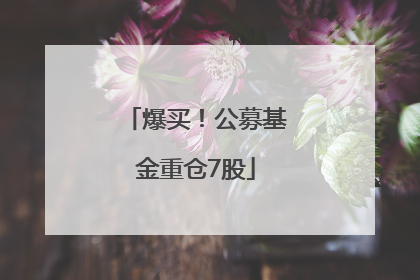 爆买！公募基金重仓7股