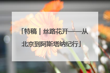 特稿｜丝路花开——从北京到阿斯塔纳纪行
