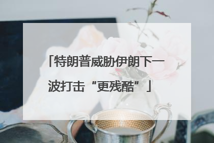 特朗普威胁伊朗下一波打击“更残酷”