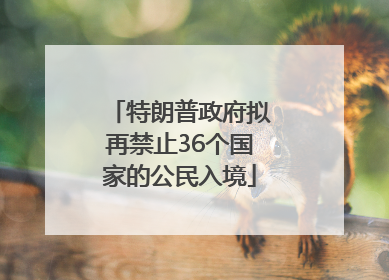 特朗普政府拟再禁止36个国家的公民入境