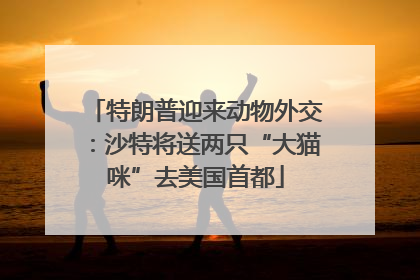 特朗普迎来动物外交：沙特将送两只“大猫咪”去美国首都