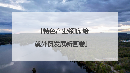 特色产业领航 绘就外贸发展新画卷