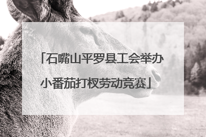 石嘴山平罗县工会举办小番茄打杈劳动竞赛