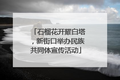 石榴花开耀白塔，新街口举办民族共同体宣传活动