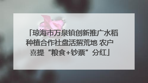 琼海市万泉镇创新推广水稻种植合作社盘活撂荒地 农户喜提“粮食+钞票”分红