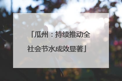 瓜州：持续推动全社会节水成效显著