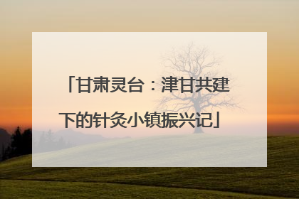 甘肃灵台：津甘共建下的针灸小镇振兴记