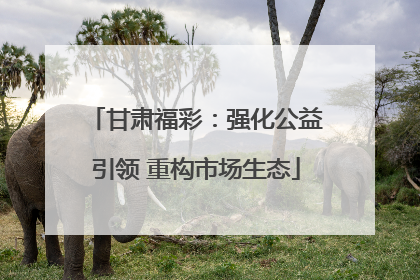 甘肃福彩：强化公益引领 重构市场生态