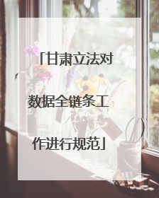 甘肃立法对数据全链条工作进行规范