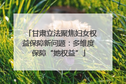 甘肃立法聚焦妇女权益保障新问题：多维度保障“她权益”