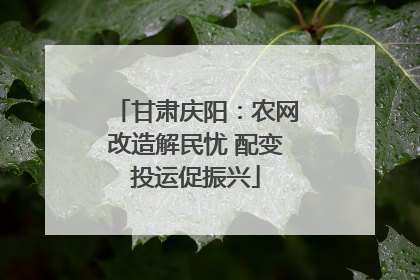 甘肃庆阳：农网改造解民忧 配变投运促振兴