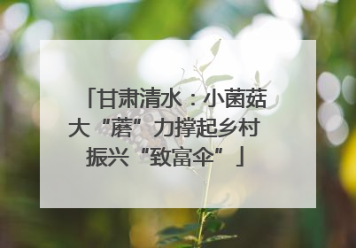 甘肃清水：小菌菇大“蘑”力撑起乡村振兴“致富伞”