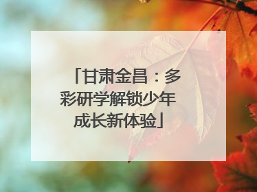 甘肃金昌：多彩研学解锁少年成长新体验