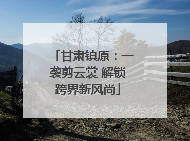 甘肃镇原：一袭剪云裳 解锁跨界新风尚