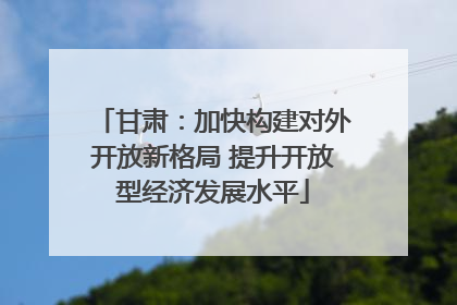 甘肃：加快构建对外开放新格局 提升开放型经济发展水平
