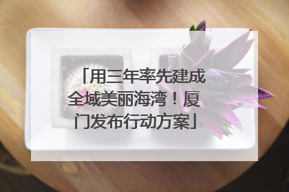 用三年率先建成全域美丽海湾！厦门发布行动方案