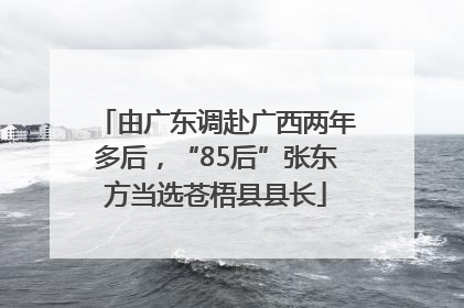 由广东调赴广西两年多后，“85后”张东方当选苍梧县县长