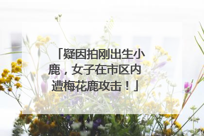疑因拍刚出生小鹿，女子在市区内遭梅花鹿攻击！