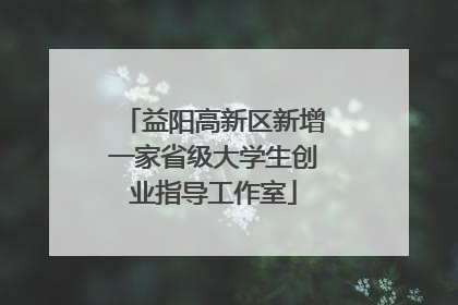 益阳高新区新增一家省级大学生创业指导工作室