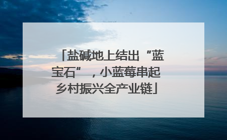 盐碱地上结出“蓝宝石”，小蓝莓串起乡村振兴全产业链