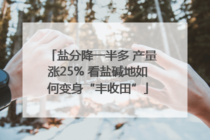 盐分降一半多 产量涨25% 看盐碱地如何变身“丰收田”