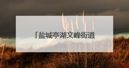 盐城亭湖文峰街道：粽香艾草传温情 多彩活动聚民心