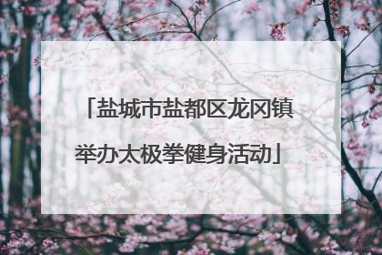 盐城市盐都区龙冈镇举办太极拳健身活动