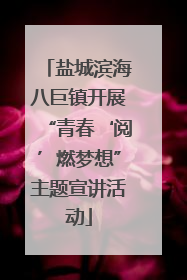 盐城滨海八巨镇开展“青春‘阅’燃梦想”主题宣讲活动