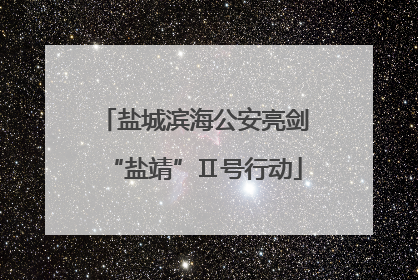 盐城滨海公安亮剑“盐靖”Ⅱ号行动