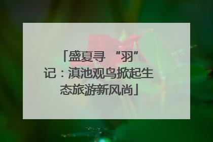 盛夏寻 “羽” 记：滇池观鸟掀起生态旅游新风尚