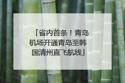 省内首条！青岛机场开通青岛至韩国清州直飞航线