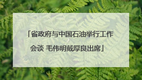 省政府与中国石油举行工作会谈 毛伟明戴厚良出席