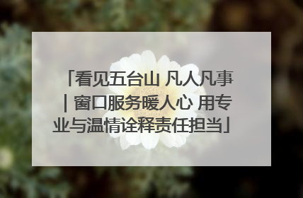 看见五台山 凡人凡事｜窗口服务暖人心 用专业与温情诠释责任担当