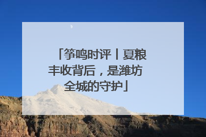 筝鸣时评丨夏粮丰收背后，是潍坊全城的守护