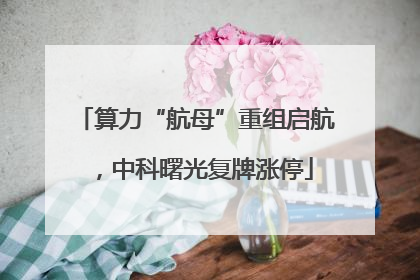 算力“航母”重组启航，中科曙光复牌涨停