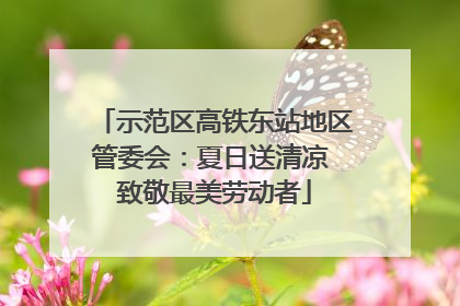 示范区高铁东站地区管委会：夏日送清凉 致敬最美劳动者