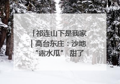 祁连山下是我家｜高台东庄：沙地“露水瓜” 甜了舌尖 富了农家