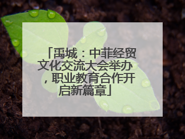 禹城：中菲经贸文化交流大会举办，职业教育合作开启新篇章