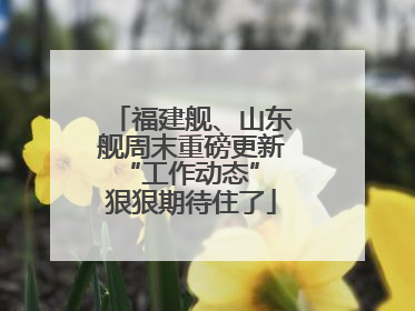 福建舰、山东舰周末重磅更新“工作动态” 狠狠期待住了