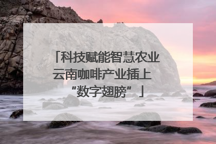 科技赋能智慧农业 云南咖啡产业插上“数字翅膀”