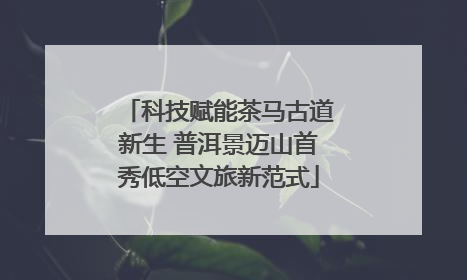 科技赋能茶马古道新生 普洱景迈山首秀低空文旅新范式
