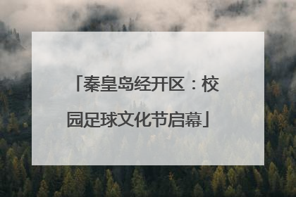 秦皇岛经开区：校园足球文化节启幕