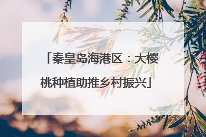 秦皇岛海港区：大樱桃种植助推乡村振兴