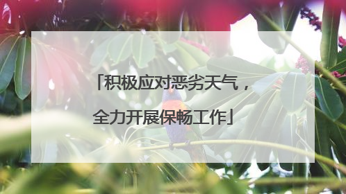 积极应对恶劣天气，全力开展保畅工作